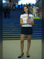 Random photos from this section